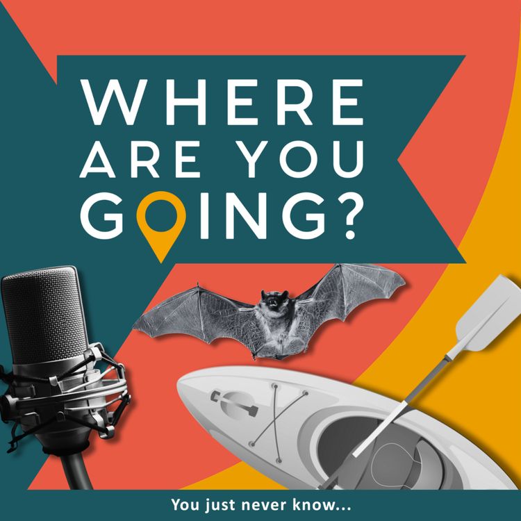 cover art for A canoe, a mic and a bat