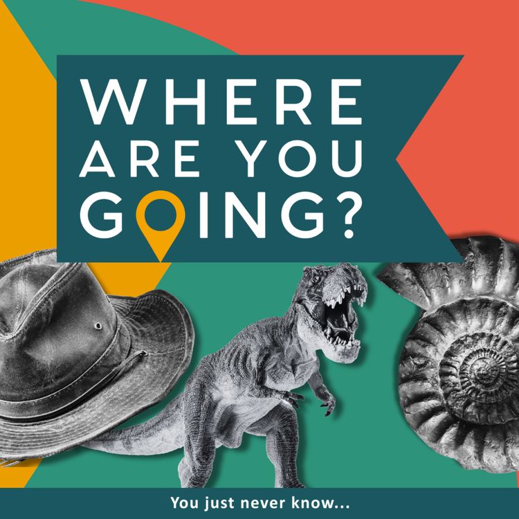 cover art for A fossil, a hat and a T-Rex