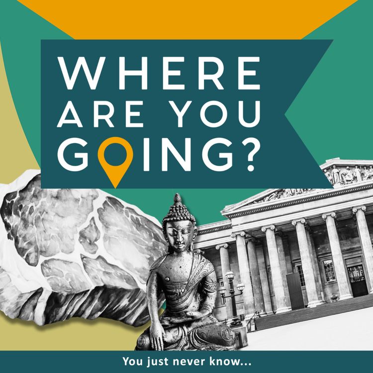 cover art for British Museum, a steak and a yogi