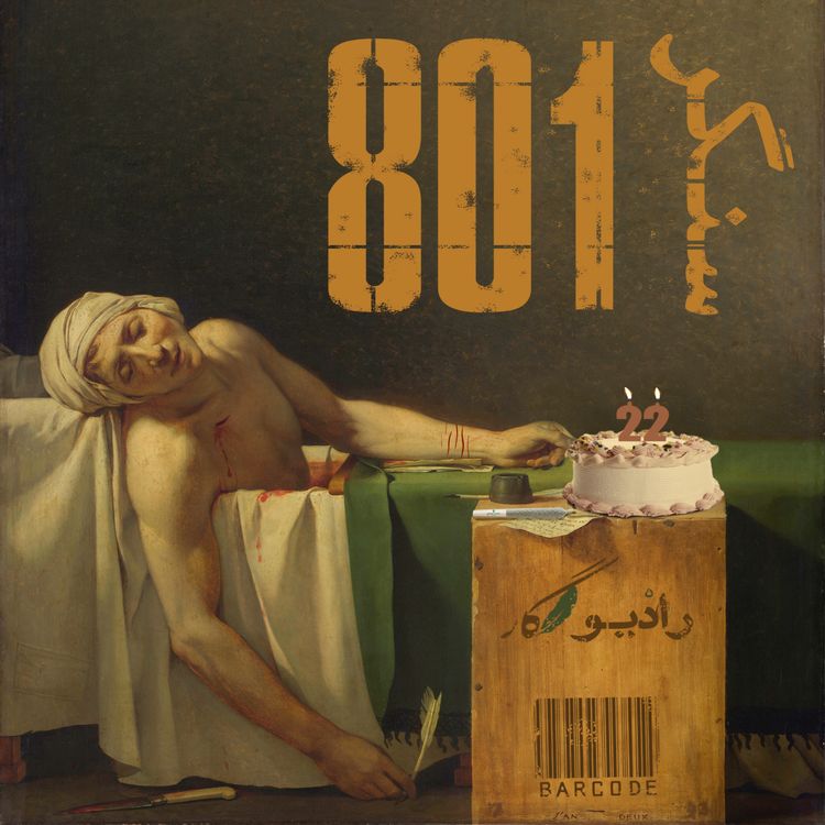 cover art for سنگر 801