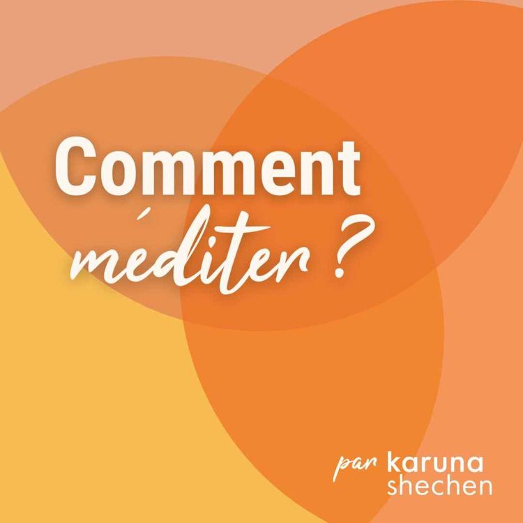 cover art for Comment méditer ?