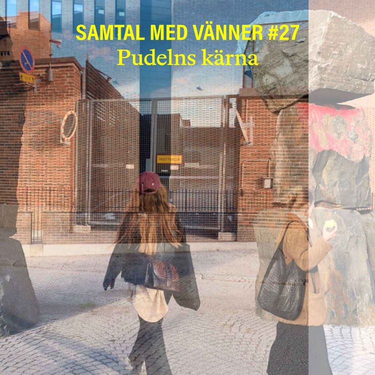 cover art for #27 Pudelns kärna