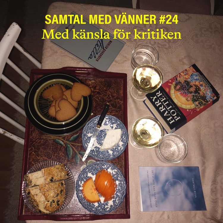 cover art for #24 Med känsla för kritiken