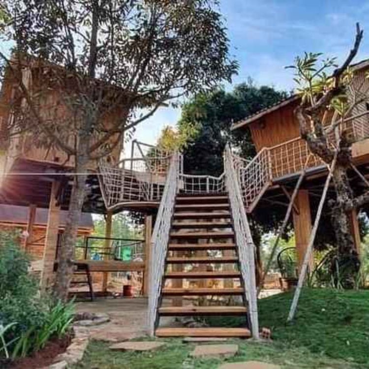 cover art for Greenfield Farmstay Bà Rịa