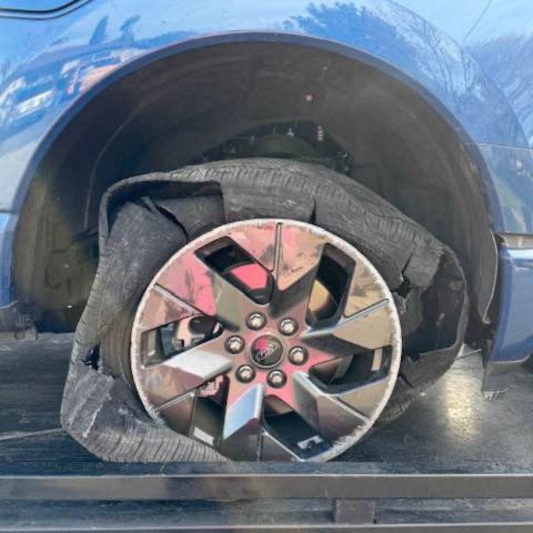 cover art for February 21, 2025