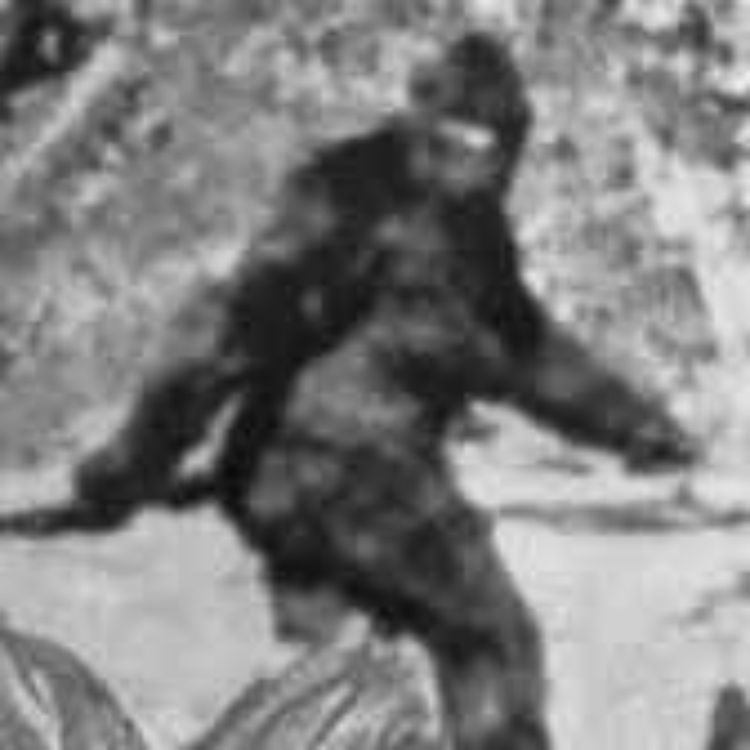 cover art for kryptozoologi