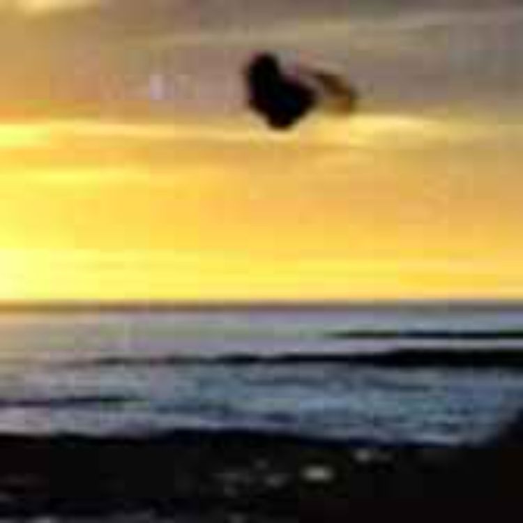 cover art for Frederick Valentich- planet försvann efter möte UFO