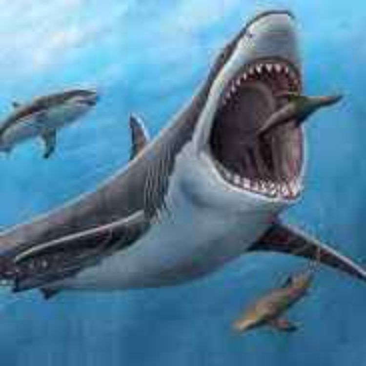 cover art for Megalodon - Jättehajen som spekuleras fortsatt leva