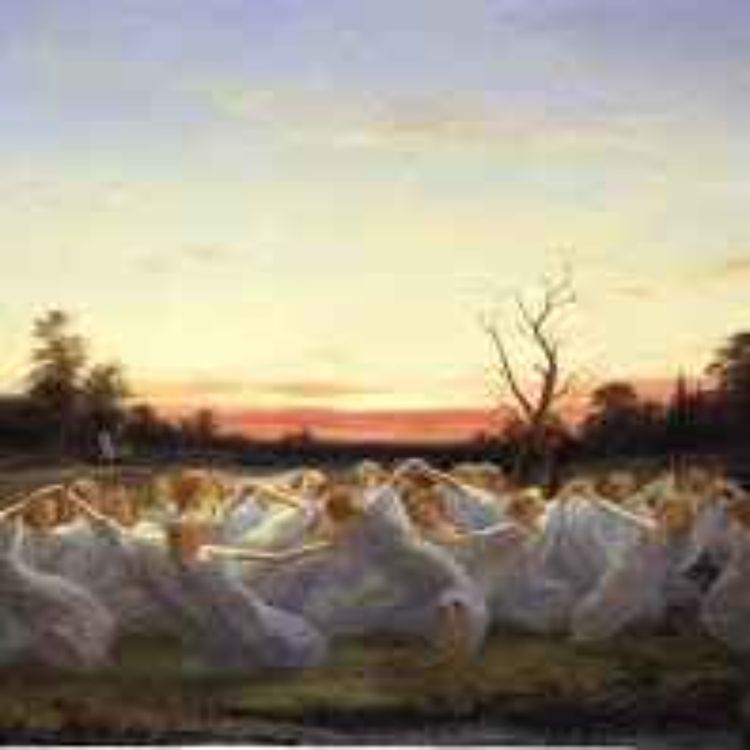 cover art for Alver och Älvor - Lever de i en annan dimension