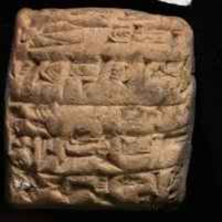 cover art for Den förlorade staden Irisagrid