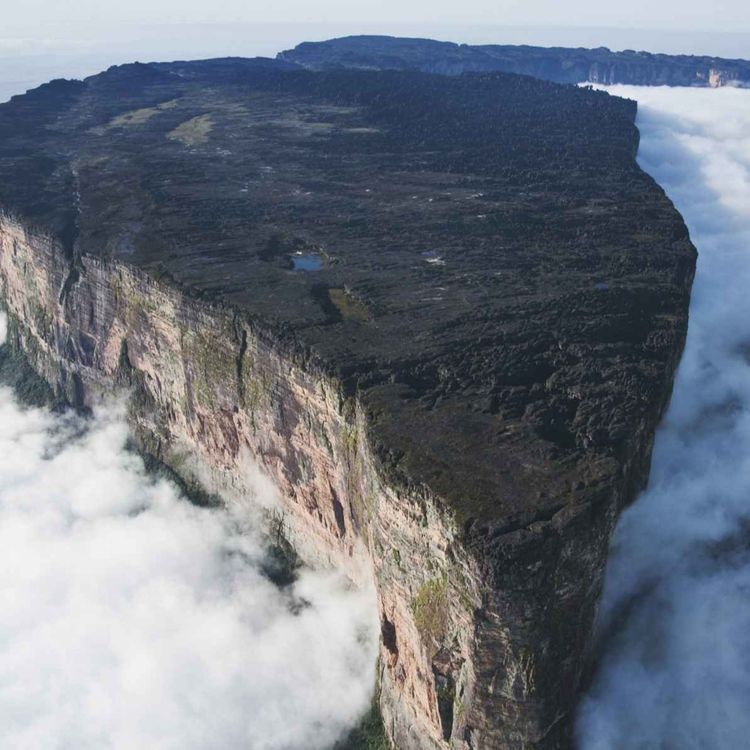 cover art for Mount Roraima -  Stubbe från livets träd?