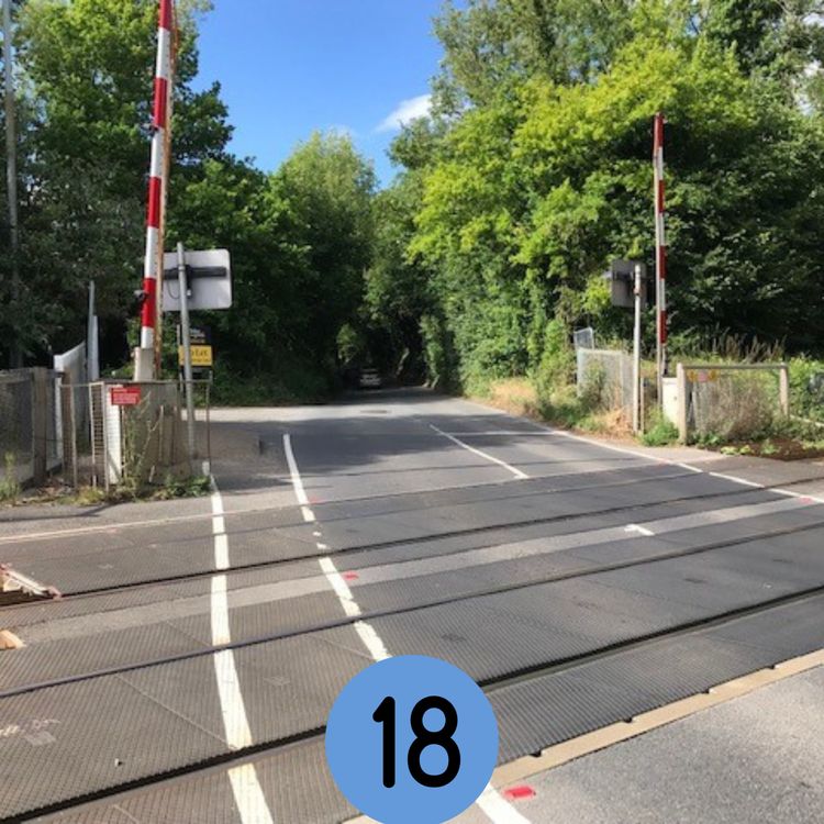 cover art for 18: The Reigate Sustainability Market... and more