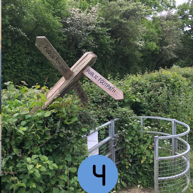 cover art for 04: Reigate's Children's Trust charity, Redhill's Brick and Model Show... and more