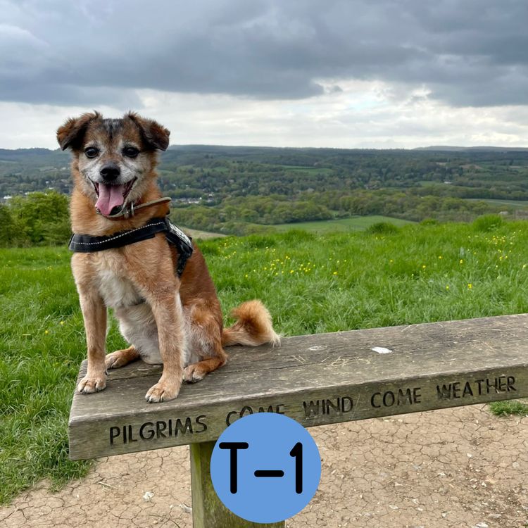 cover art for Pre-Launch Episode T-1: Introducing The Planet Reigate Podcast