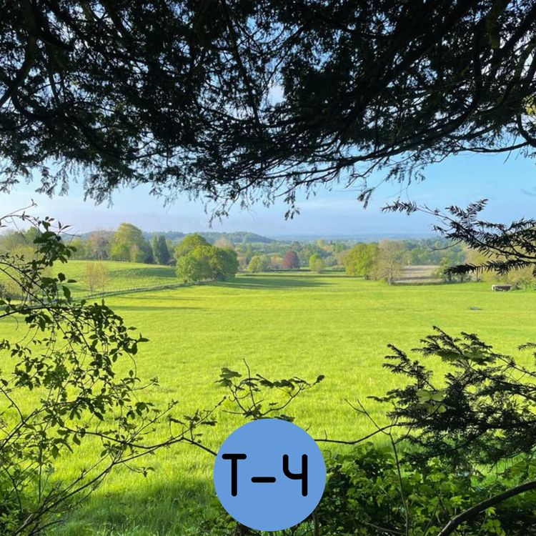 cover art for Pre-Launch Episode T-4: Reigate's Past