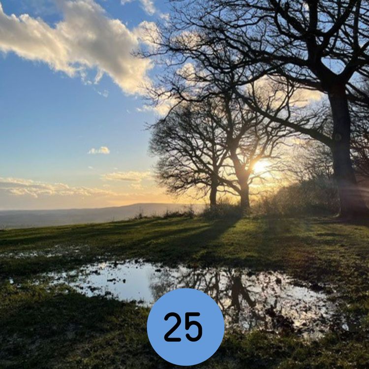 cover art for 25: The Reigate Hill Plane Crash... and more