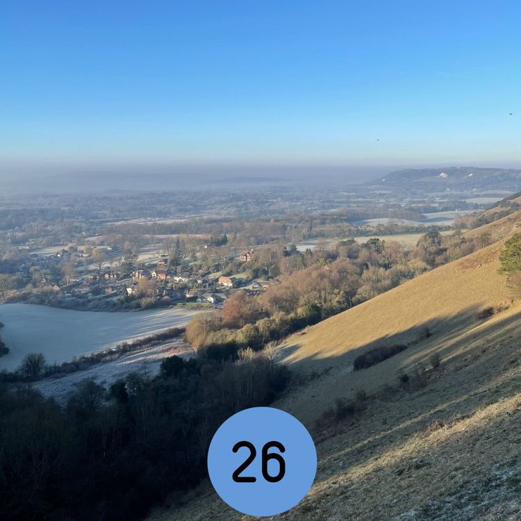 cover art for 26: Reigate and Redhill’s gift to the King... and more