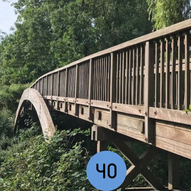 cover art for 40: The Reigate Summer Festival weekend and a look ahead to 10k day... and more