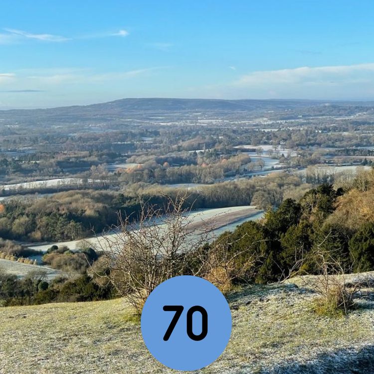 cover art for 70: More on the Harlequin’s future… and more