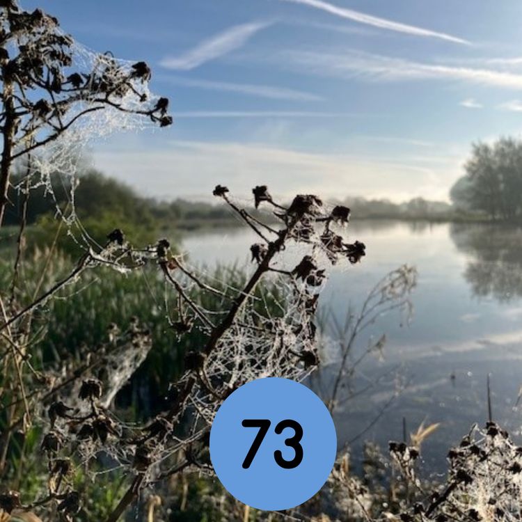 cover art for 73: Local plant-based cooking courses… and more