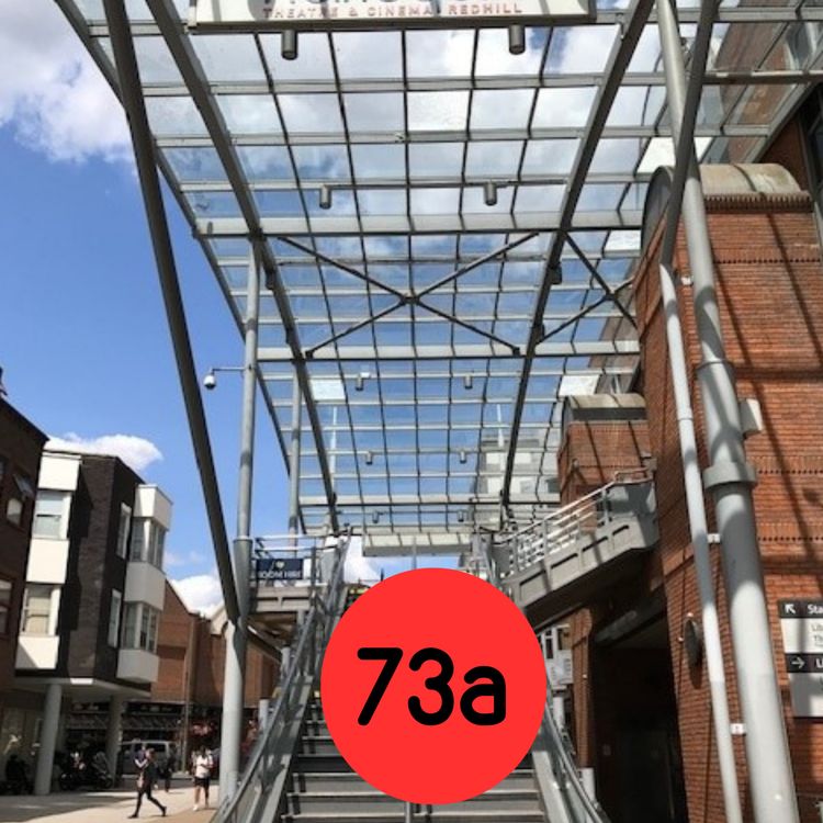 cover art for 73a: *Extra Episode - Harlequin '£10m decision' at RBBC council meeting 30.01.25