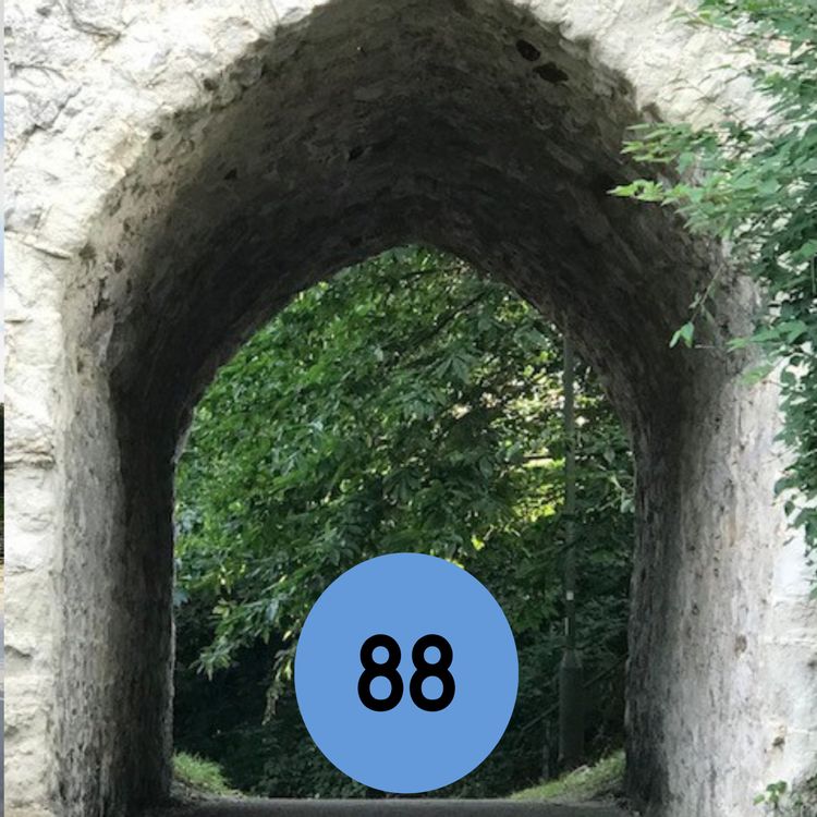 cover art for 88: The ‘guerilla gardeners’ behind a wildflower makeover of a local roundabout… and more 