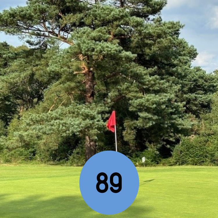 cover art for 89: The local ‘holiday hot-shot’ with insider tips for your next getaway… and more 