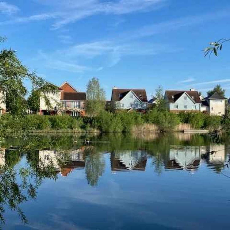 cover art for 97a - PLANET REIGATE RAMBLES 2 -  The Colourful Marshes - 4miles