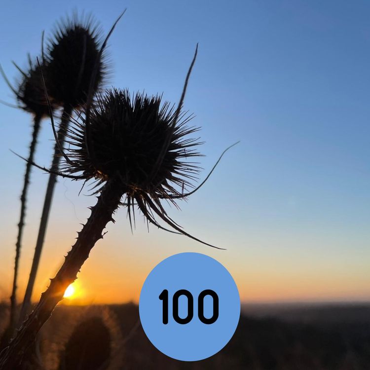 cover art for 100: Goodbye and thank-you