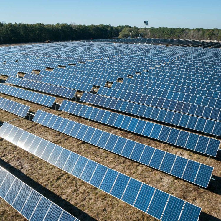 cover art for Travailler en Ferme solaire en Australie