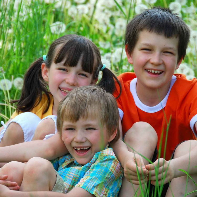 cover art for Genetisk arv - hvordan ble jeg til akkurat meg?