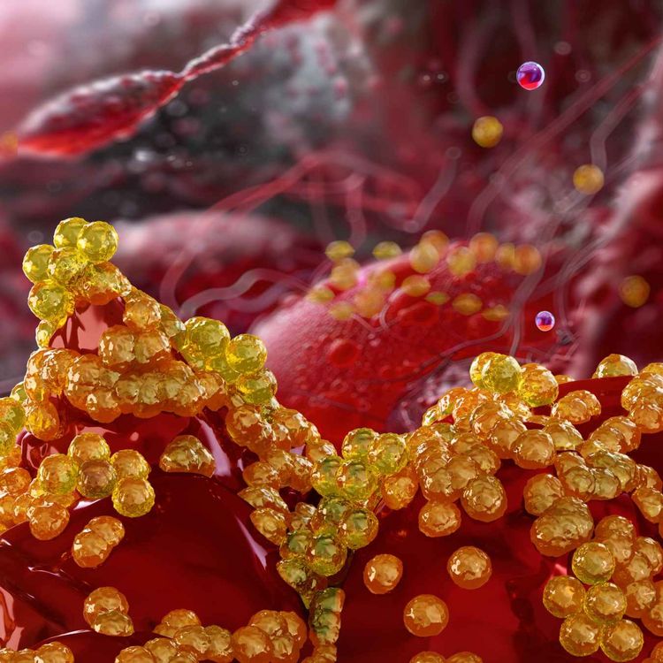 cover art for Jakten på superbakteriene