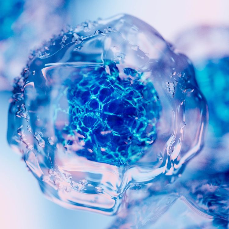 cover art for Stamceller - hva er de og hva kan vi bruke dem til?