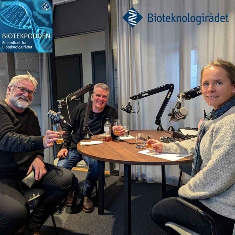 cover art for Kveik - ein bevaringsverdig norsk genressurs