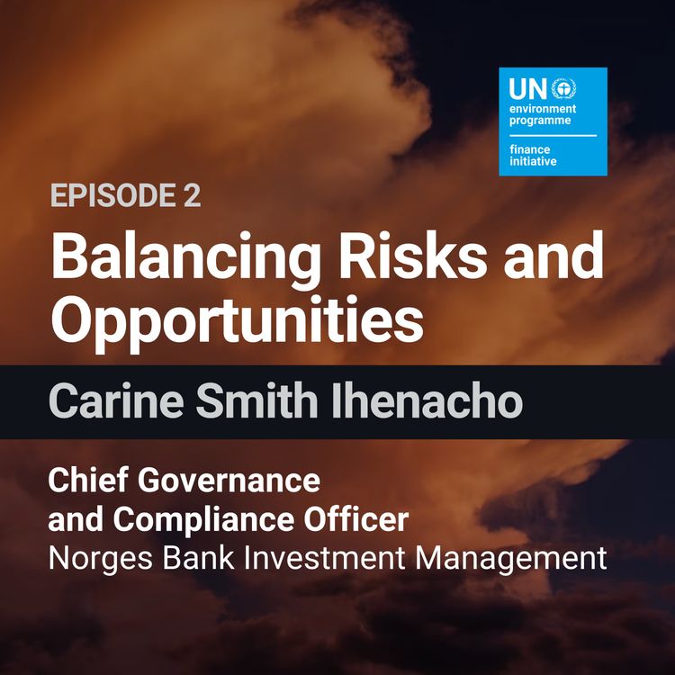 cover art for Balancing Risks and Opportunities with Carine Smith Ihenacho