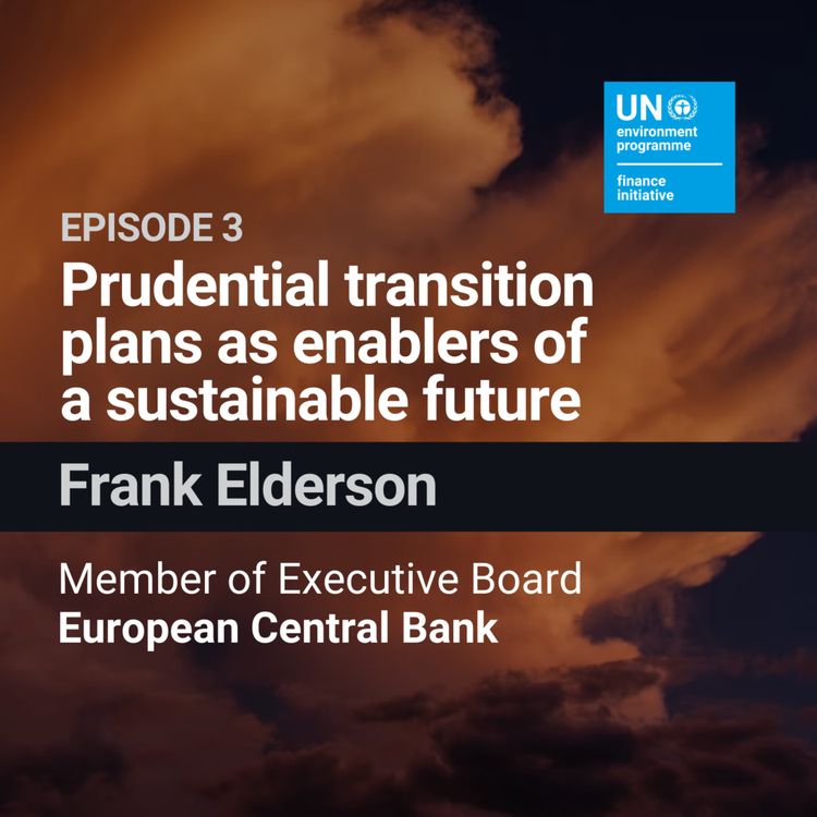 cover art for Prudential Transition Plans as Enablers of a Sustainable Future with Frank Elderson