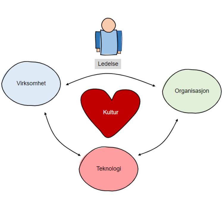 cover art for Fem elementer i digital transformasjon