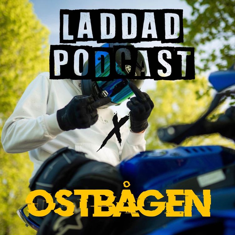 cover art for 15# En Ostbåge På Besök