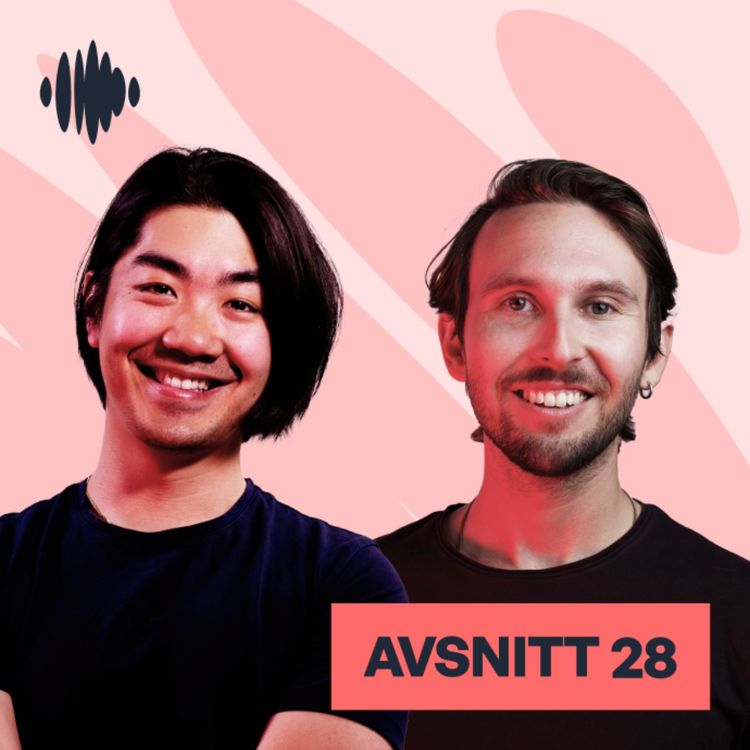 cover art for 28. Varför ska man visualisera data?