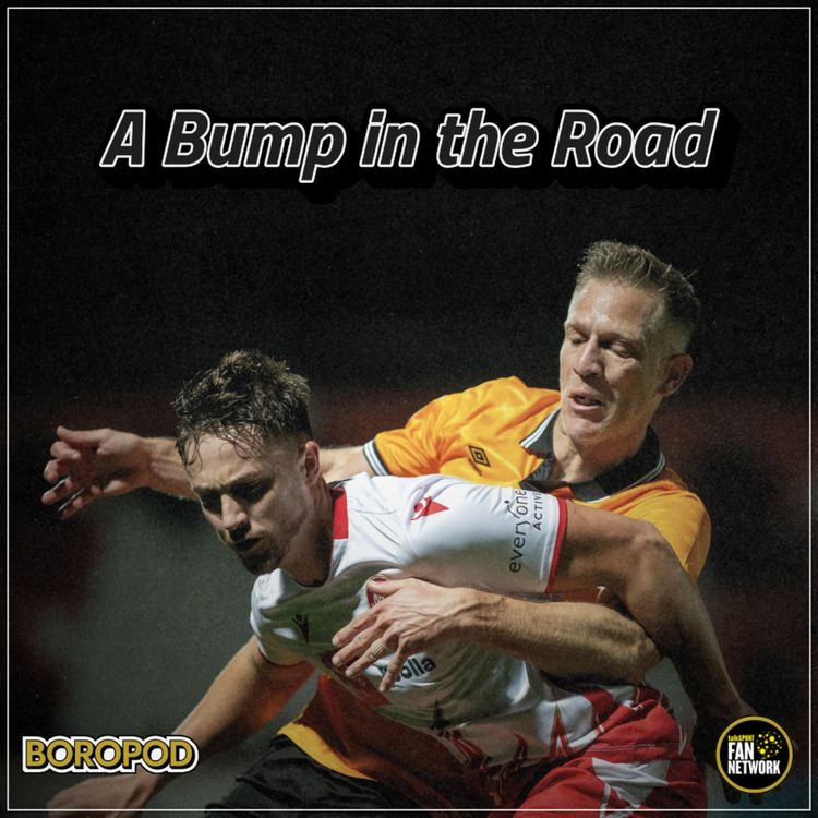 cover art for A Bump in the Road