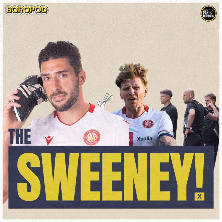 cover art for The Sweeney