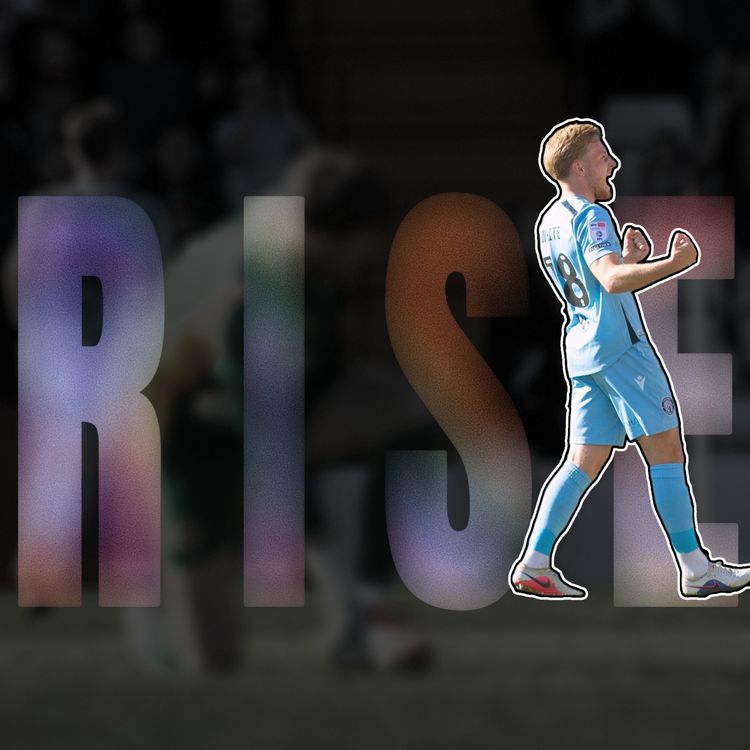 cover art for RISE