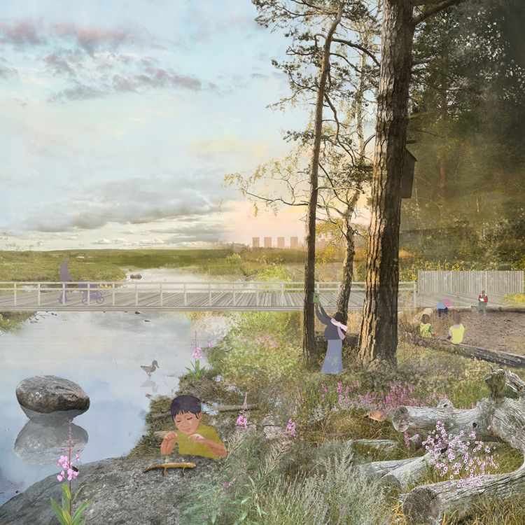 cover art for Subtle connections as nature gateways