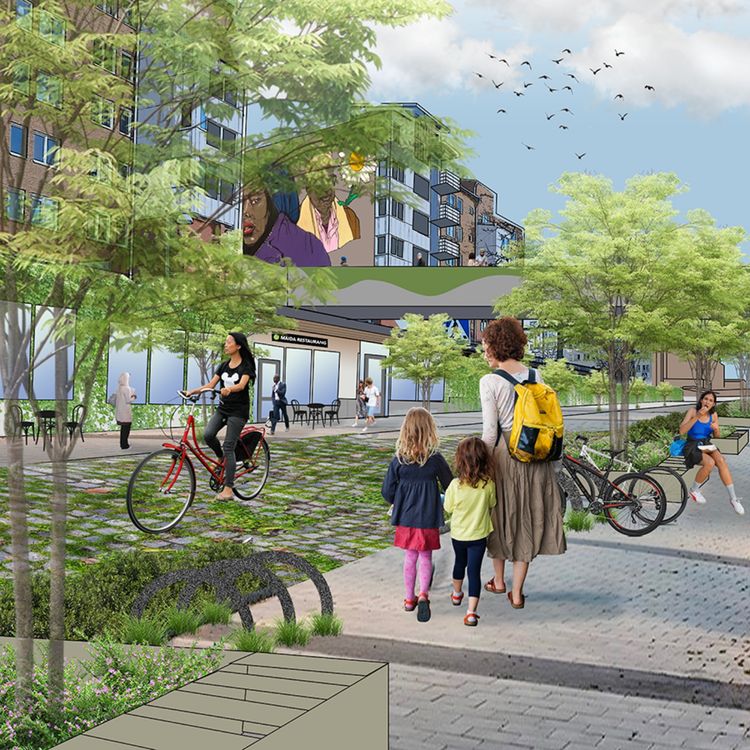 cover art for A connected green ecological infrastructure