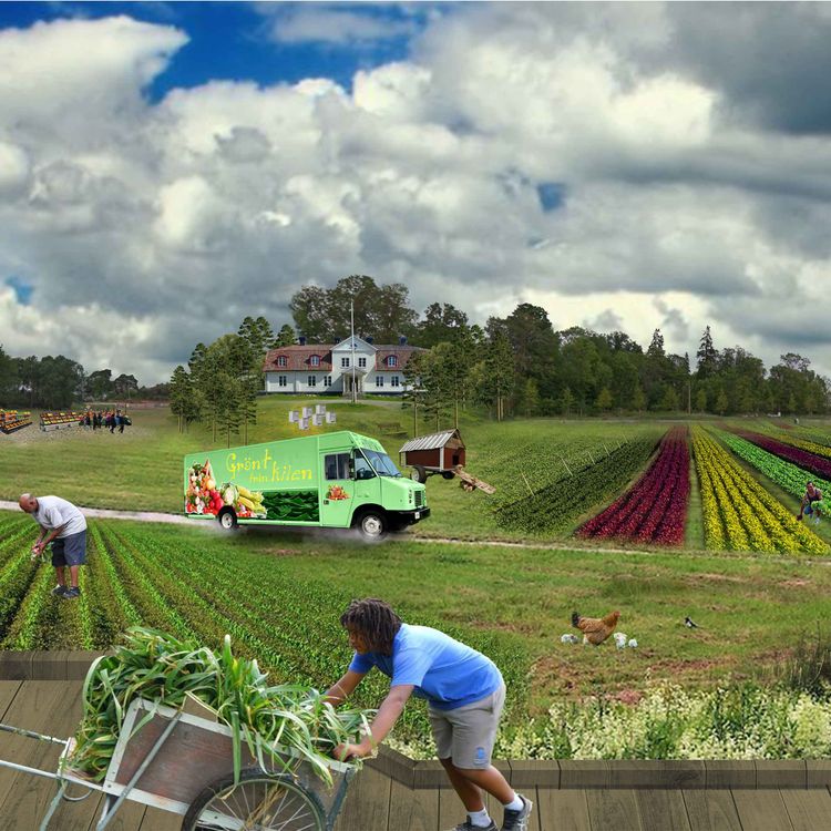 cover art for Greens from the Wedge