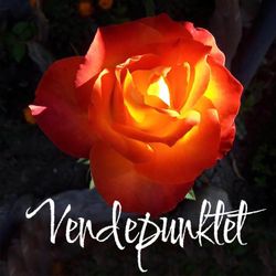 cover art for Vendepunktet