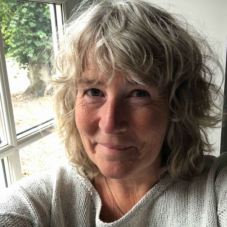 cover art for SKYGGESIDER OG IDENTITETSTAB LEDER OS HJEM TIL OS SELV