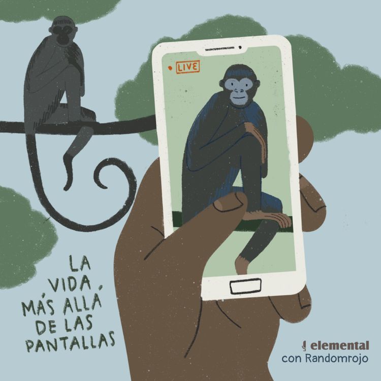 cover art for La vida más allá de las pantallas