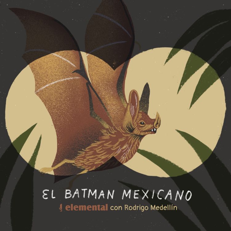 cover art for El batman mexicano