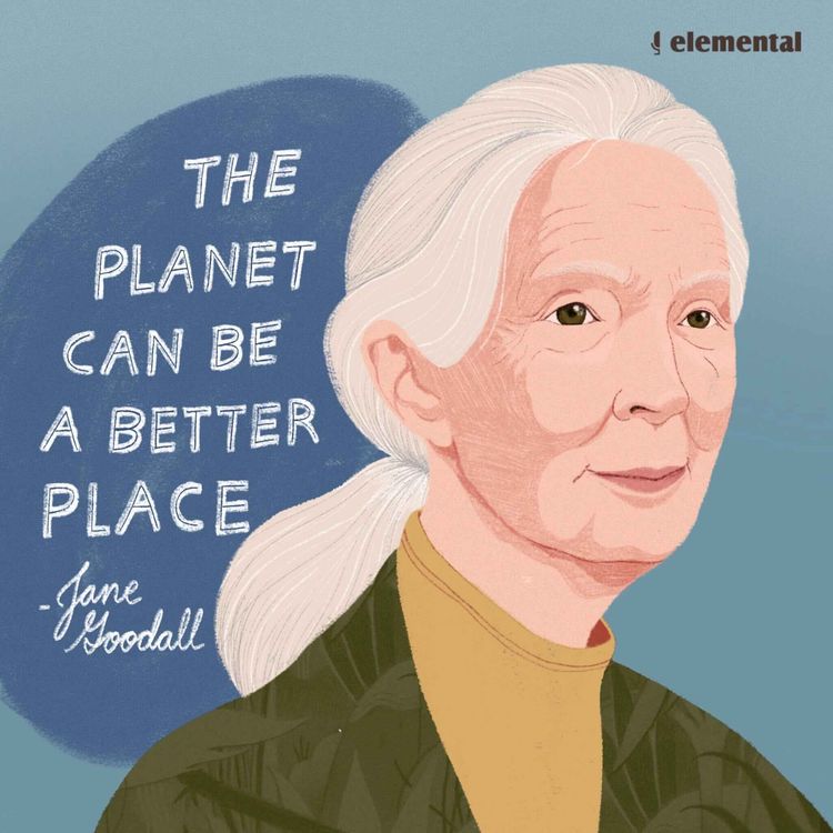 cover art for 'The planet can be a better place' (Episodio en inglés)